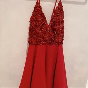 Red rose mini dress